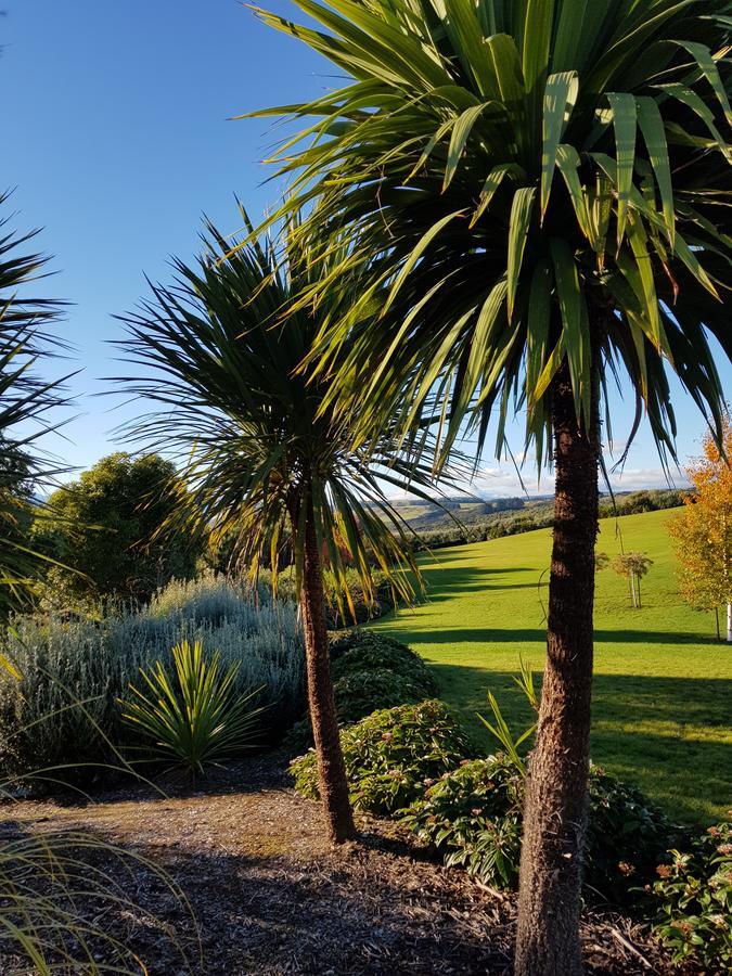 Murchison View Studio Te Anau Eksteriør bilde